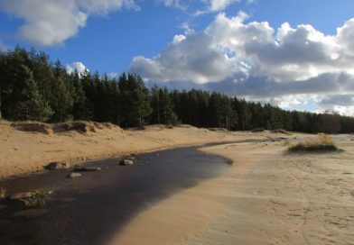 В Ленинградской области — новая особо охраняемая природная территория